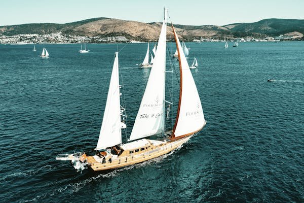 Naviguer en antarctique : conseils pour une croisière réussie